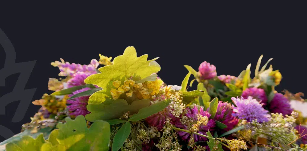 I fiori per la notte di San Giovanni
